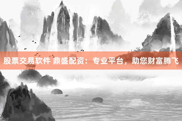 股票交易软件 鼎盛配资：专业平台，助您财富腾飞