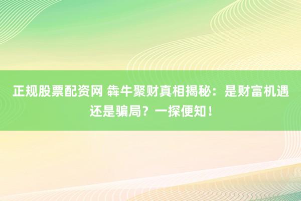 正规股票配资网 犇牛聚财真相揭秘：是财富机遇还是骗局？一探便知！