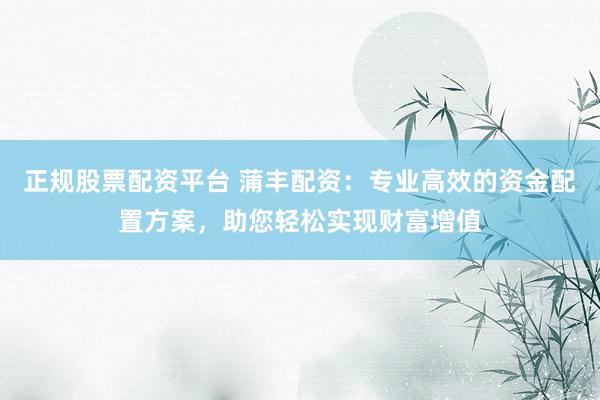 正规股票配资平台 蒲丰配资：专业高效的资金配置方案，助您轻松实现财富增值