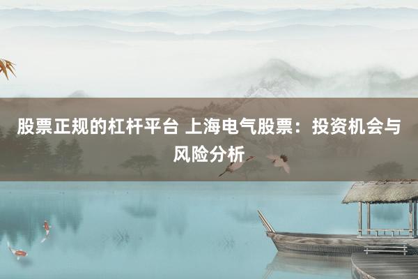 股票正规的杠杆平台 上海电气股票：投资机会与风险分析