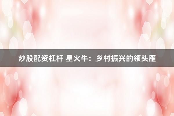 炒股配资杠杆 星火牛：乡村振兴的领头雁