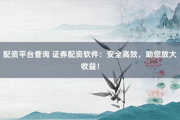 配资平台查询 证券配资软件：安全高效，助您放大收益！