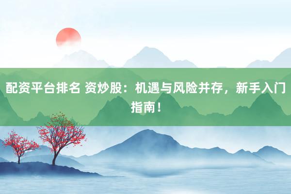 配资平台排名 资炒股：机遇与风险并存，新手入门指南！
