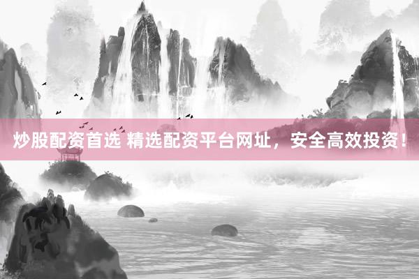 炒股配资首选 精选配资平台网址，安全高效投资！