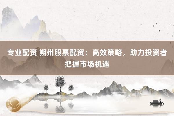专业配资 朔州股票配资：高效策略，助力投资者把握市场机遇