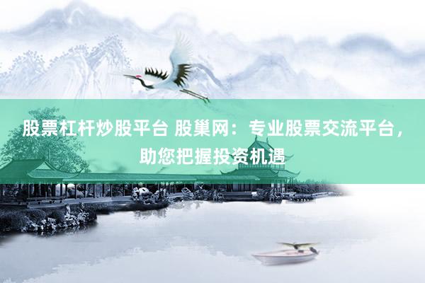 股票杠杆炒股平台 股巢网：专业股票交流平台，助您把握投资机遇
