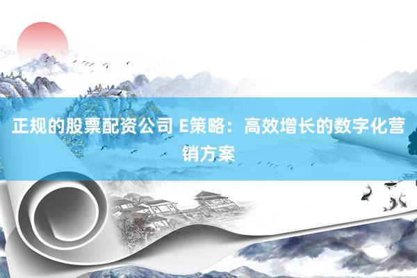 正规的股票配资公司 E策略：高效增长的数字化营销方案