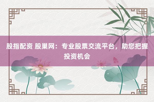 股指配资 股巢网：专业股票交流平台，助您把握投资机会